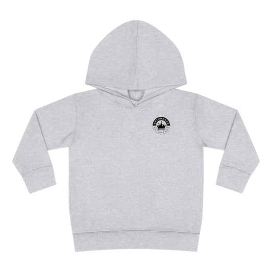 Toddler Grey Fleece Hoodie